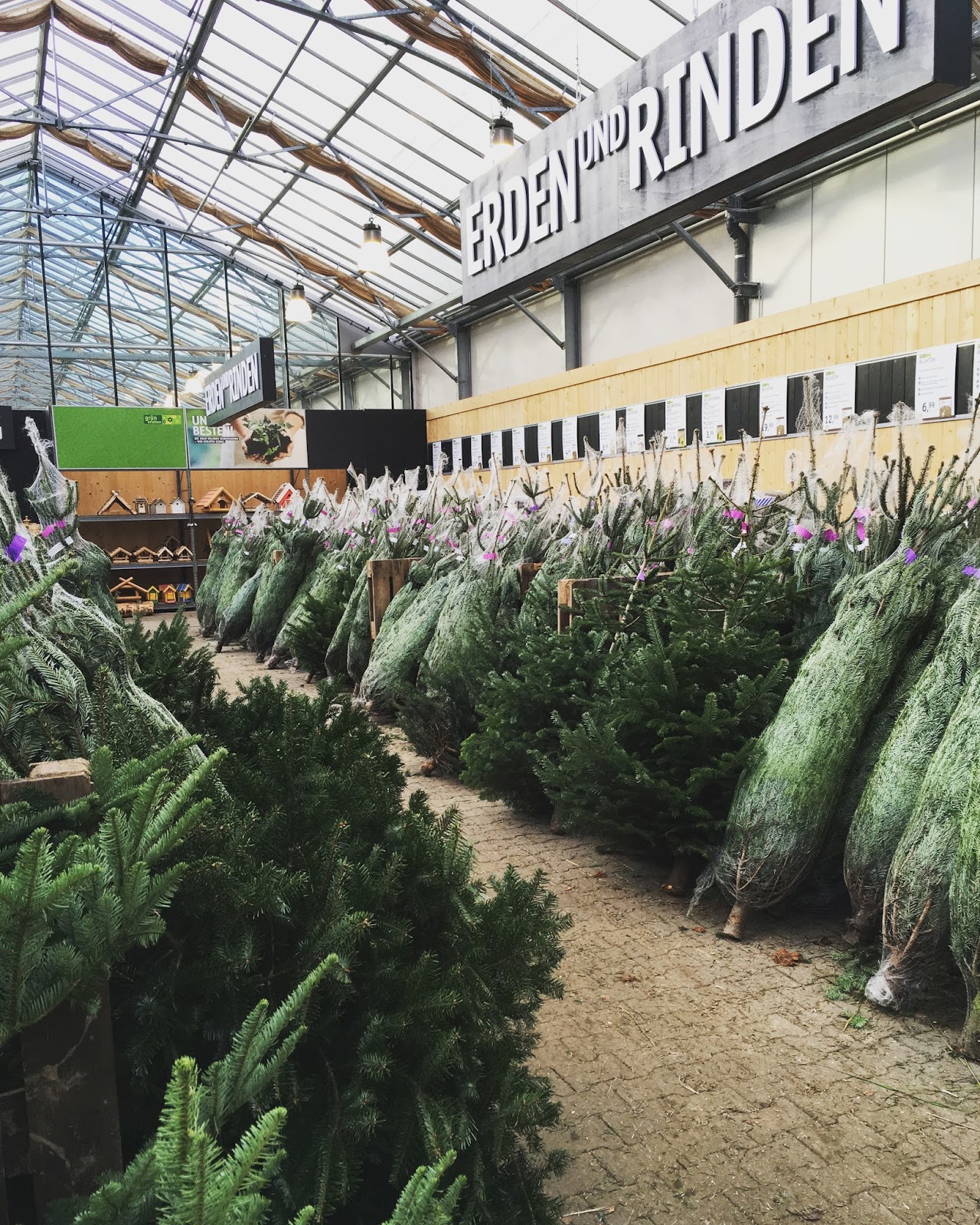 CtC Mission Weihnachtsbaum kaufen, selber schlagen, liefern lassen