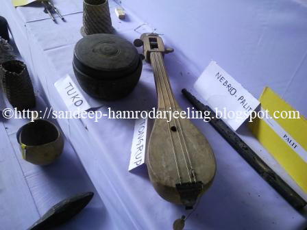 latest photos tea and tourism festival darjeeling