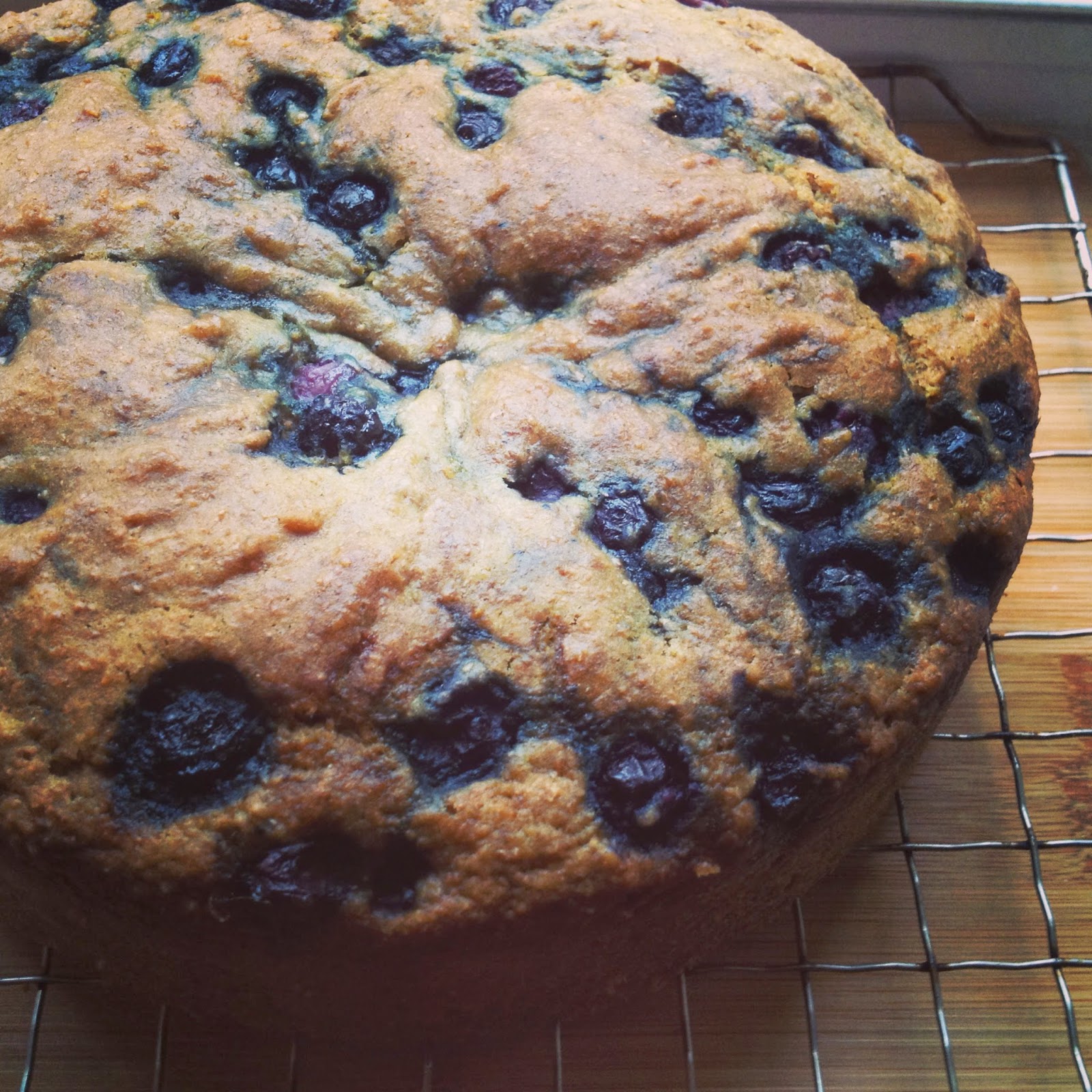 foodrefuge Fluffy Vegan Whole Wheat Blueberry Cake