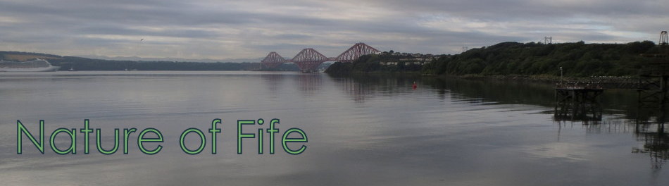 Nature Of Fife