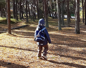 Wir gehen die Baumkinder suchen! Eine Rezension und eine neue Lese-Idee zu Peter Wohllebens inspirierendem Wald-Kinderbuch. Auf Bornholm gibt es tolle Wälder, in denen man mit Kind gut wandern kann.