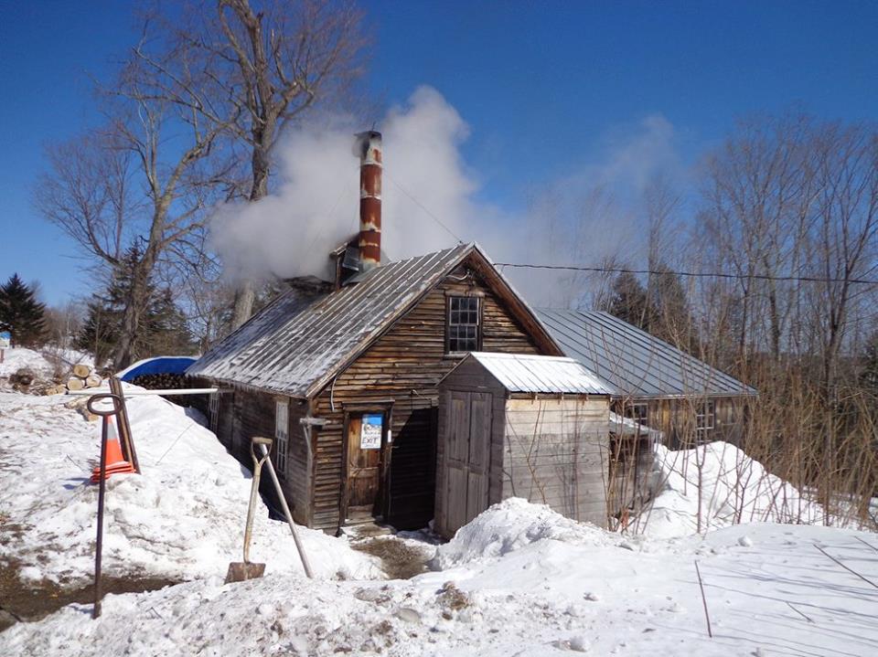 POSTED ROADS Maine Maple Sidney