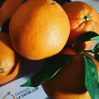 naranjas del agricultor, naranjas la safor, naranjas de valencia, navel, clemenvilla, mandarinas, naranjas garantía de frescura,