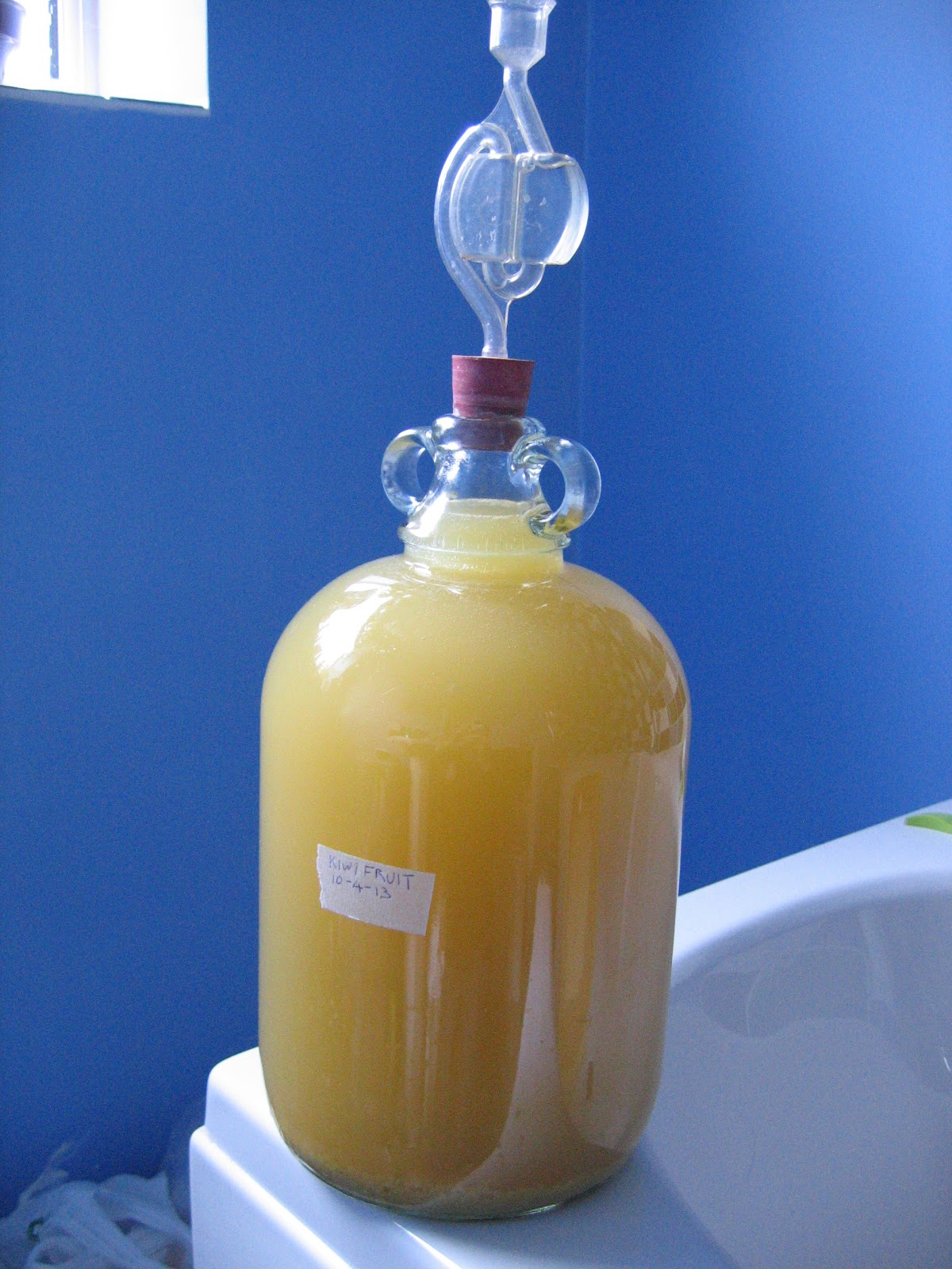 Ben's Adventures in Wine Making Kiwi Fruit Wine The Making Of