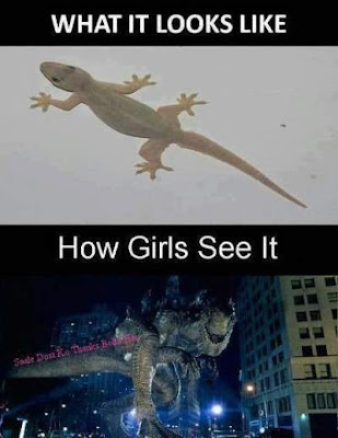 lizard how girls see it