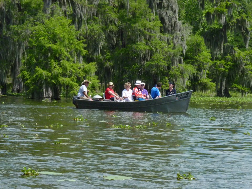 Louisiana Swamp Tours Lafayette Louisiana Swamp Tours and Festival