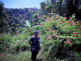 In The Middle Of Wildflower Plants In The Field At Ringdikit Village North Bali