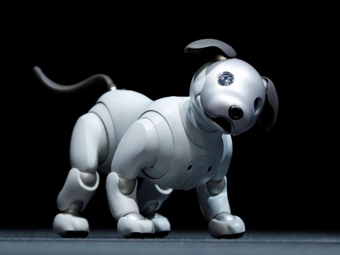 SONY PRESENTA AIBO, UN NUEVO PERRO ROBÓTICO ULTRA REALISTA