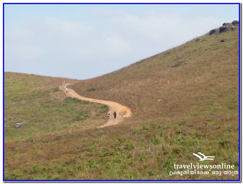 പ്രകൃതിയിലേക്ക് ഒരു യാത്ര (a travel towards NATURE): PULLUMEDU a unique ...