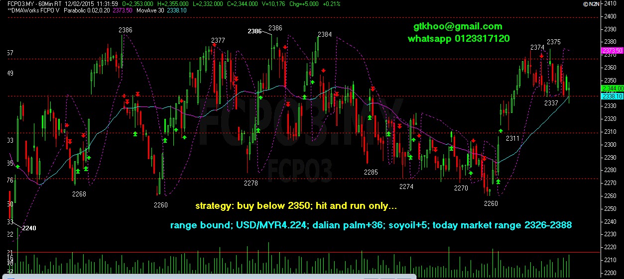 Crude palm oil trading strategy