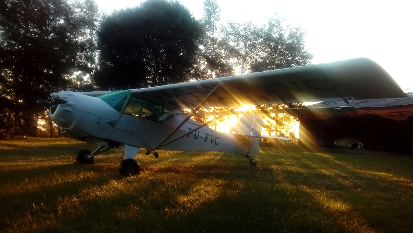 Blog do Barbosa "LambeLambe" KITFOX AMERICANO À VENDA