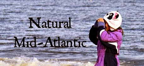 Natural Mid-Atlantic 