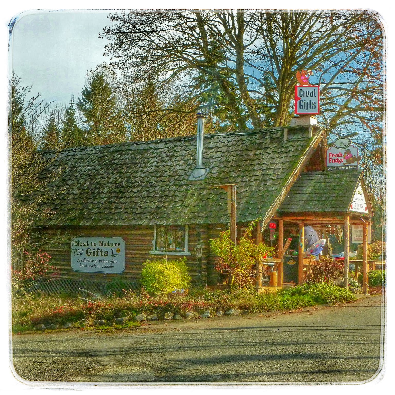 Vancouver Island in Pictures November At Whippletree Junction