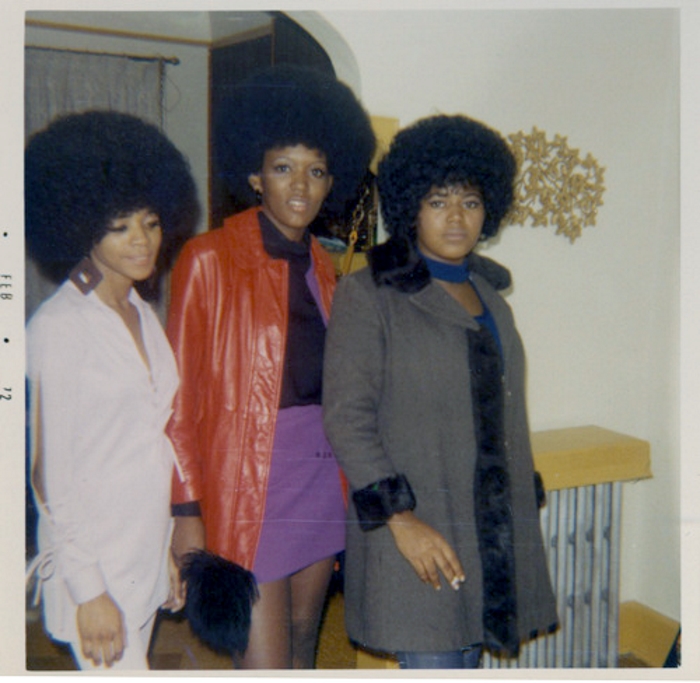 4 Iconic 70s Black Hairstyles  Everything Hairr