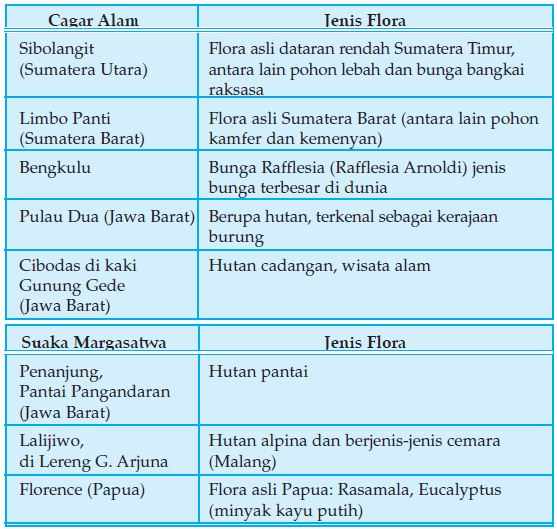 Faktor Faktor Penyebab Kerusakan Alam Di Lingkungan Persebaran Flora Dan Fauna Serta Dampaknya Terhadap Kehidupan Berikut Dengan Upaya Pelestarian Dan Konservasi Keanekaragaman Makhluk Hidup Oleh Lembaga Biologi Materiedukasi Com