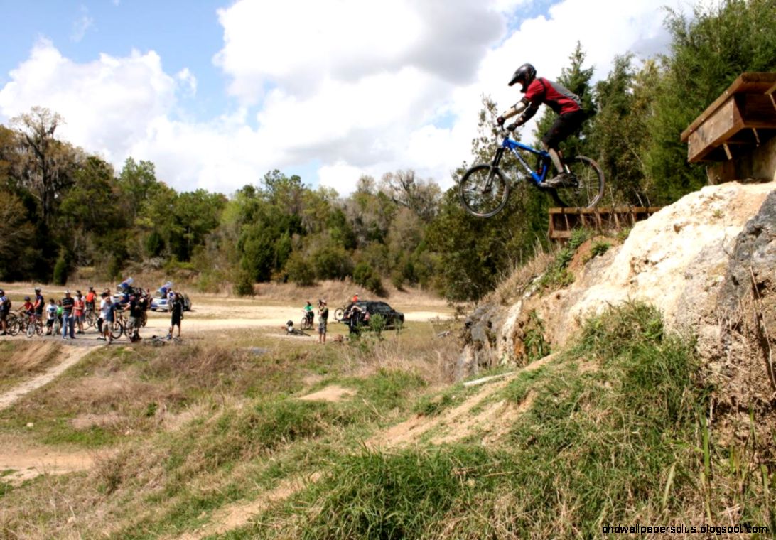 Mountain Bike Jumps
