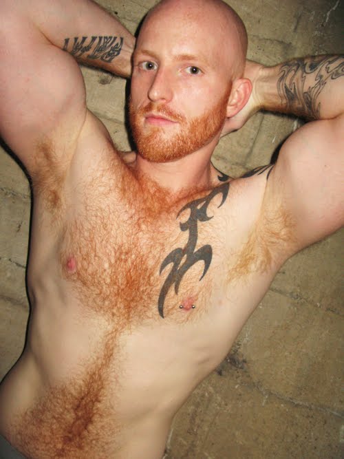 Hot Hairy Males 49