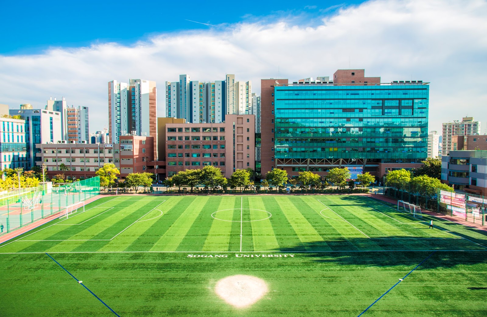 Seoul Daily_Sogang University 사이공감 42SHARE