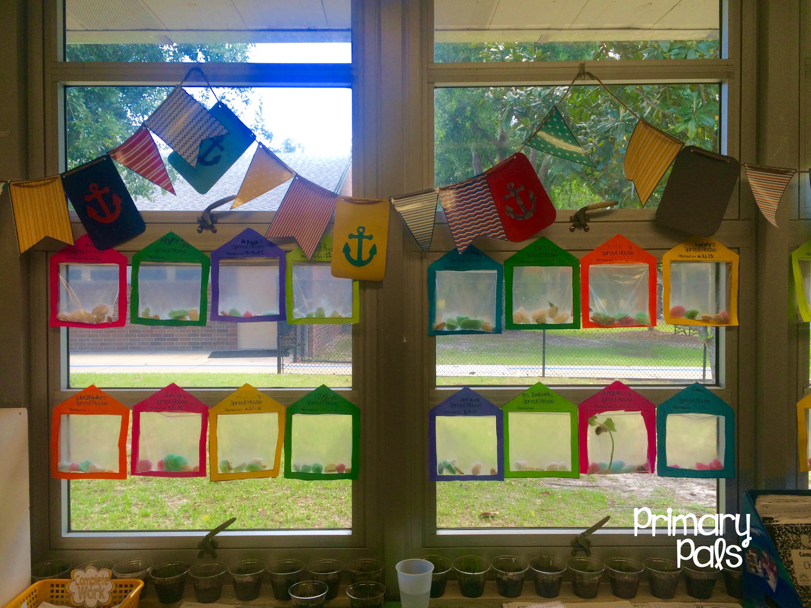 Primary Pals Sprout House and Bean Observation Journal