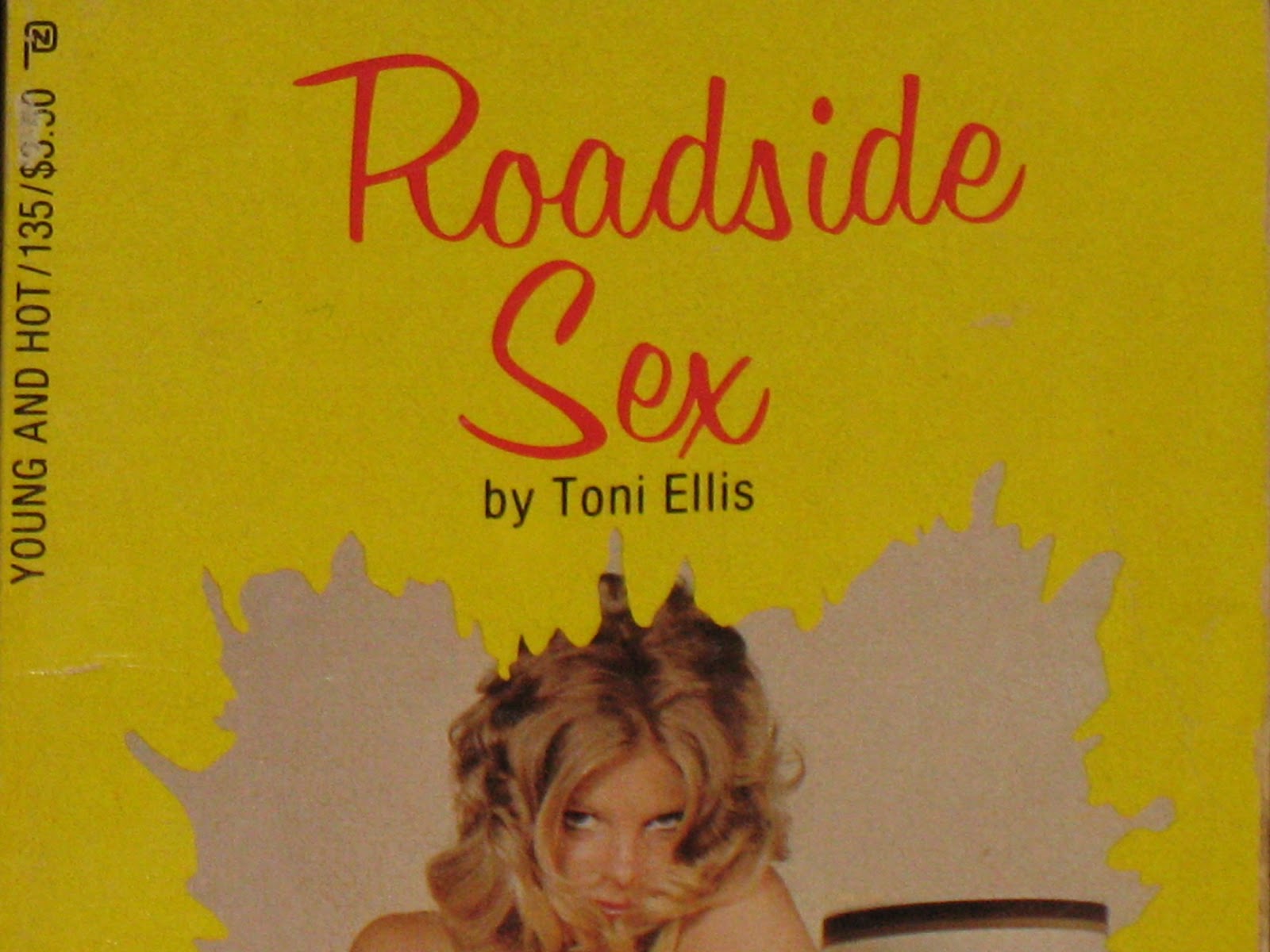 Mostly Shakespeare Roadside Sex 1982 Book Review