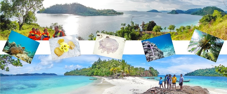 Tempat Wisata Murah di Padang Sumbar paket Penginapan di mandeh pulau pagang island liburan sumbar