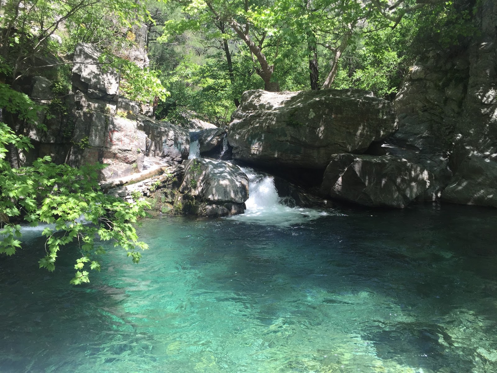 Ayı Deresi Resimleri