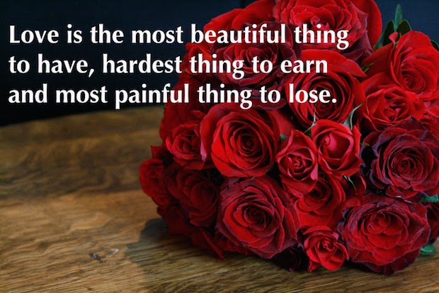 20 Lovely Valentine's Day Quotes 15