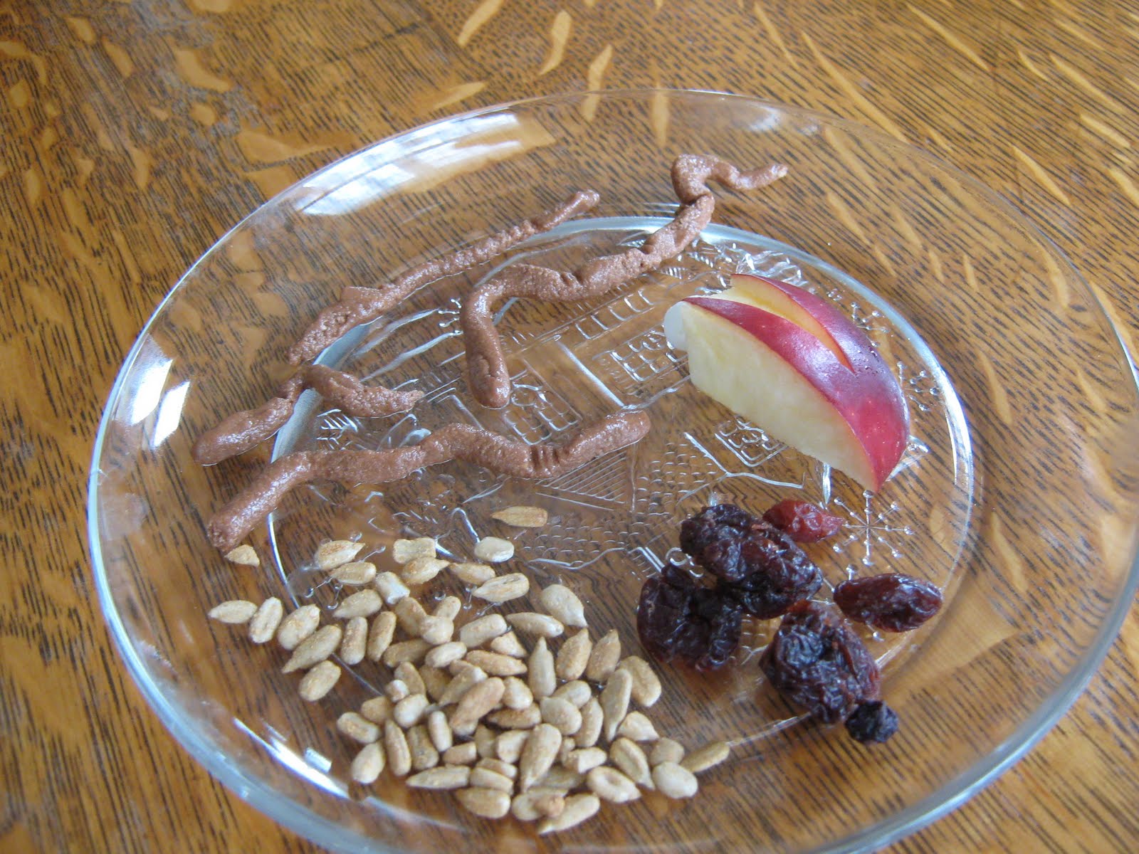 Almost Unschoolers A Bird Food Themed Snack