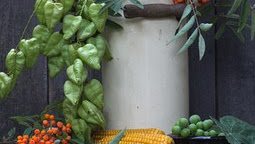 Cara Cerdik Mencari Pemimpin Baru