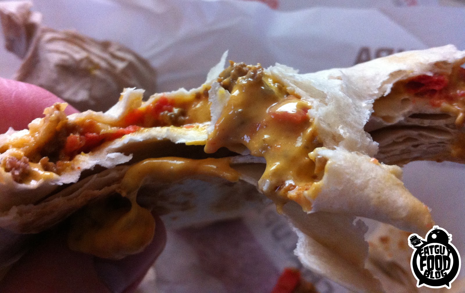FATGUYFOODBLOG Taco Bell's Loaded Grillers