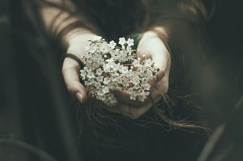 flowers2.jpg