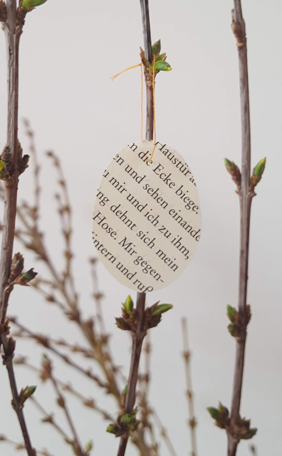 BuchLady.de Wohin mit alten Büchern? Die 7 besten Tipps