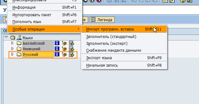 Импортировать языки. Как поменять язык в sap. Импорт изображения что значит. Как поменять язык в sap. Netdrive.