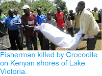https://sciencythoughts.blogspot.com/2019/02/fisherman-killed-by-crocodile-on-kenyan.html