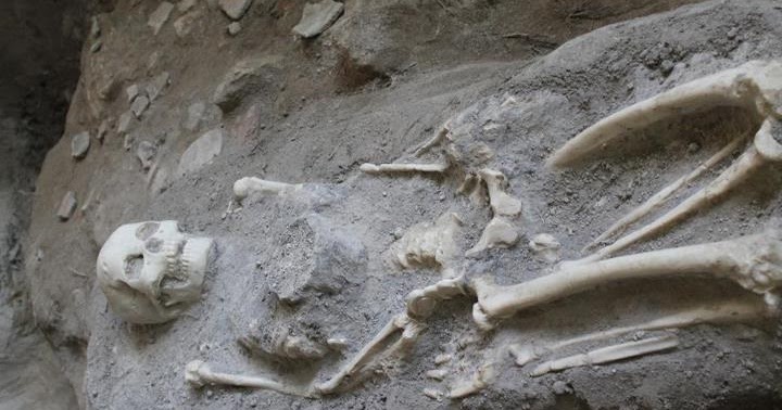 Perbedaan Dan Jenis Manusia Purba Indonesia Asia Eropa Afrika Semua Contoh