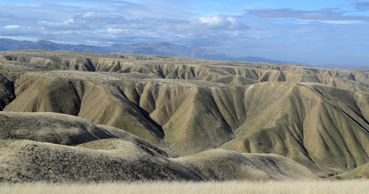 Panoche Hills high point and Panoche Mountain