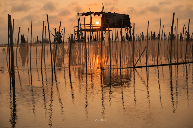 Cuộc sống trên sông nước tại Đầm Chuồn, Phá Tam Giang