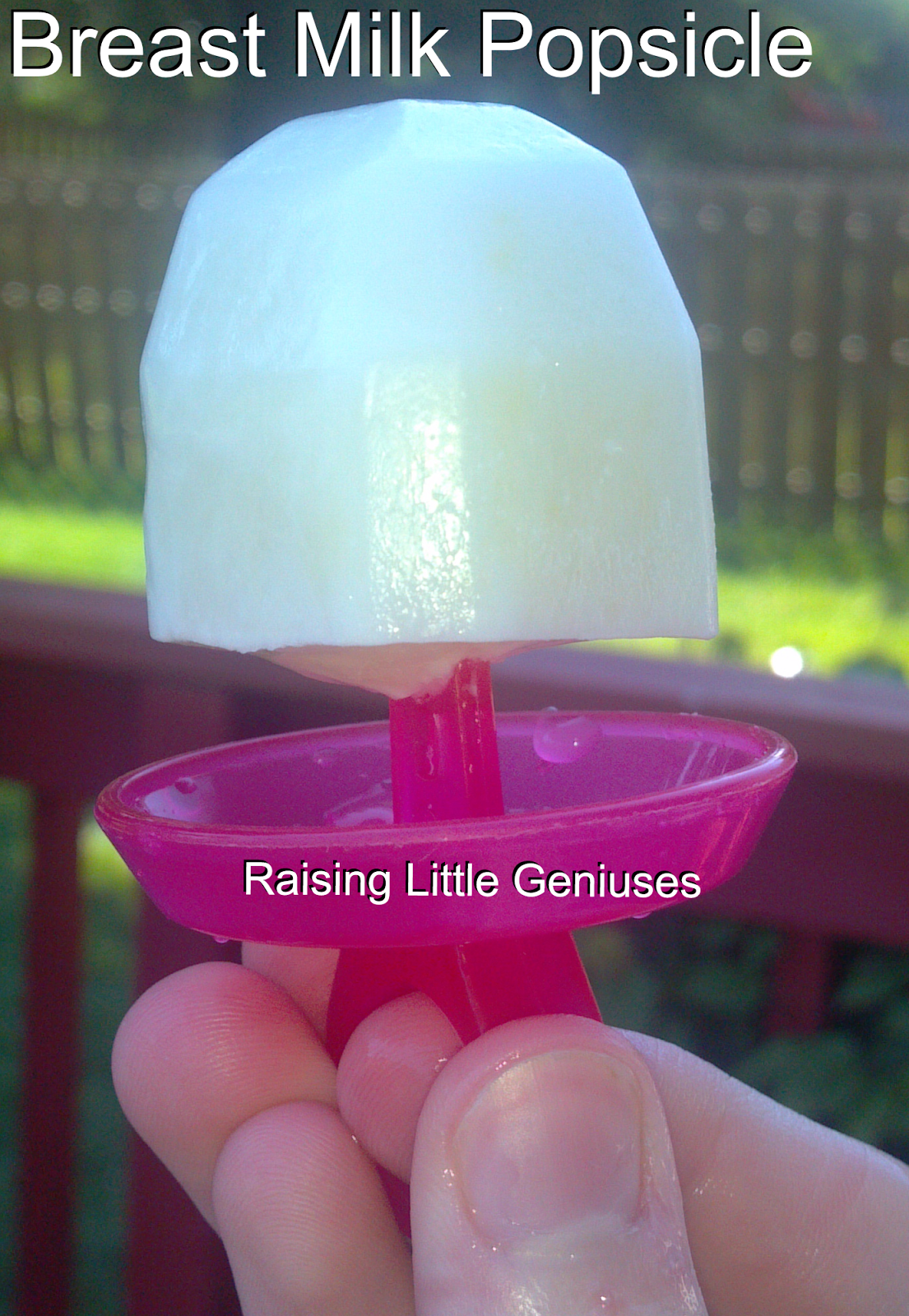 Raising Little Geniuses Breast Milk Popsicle