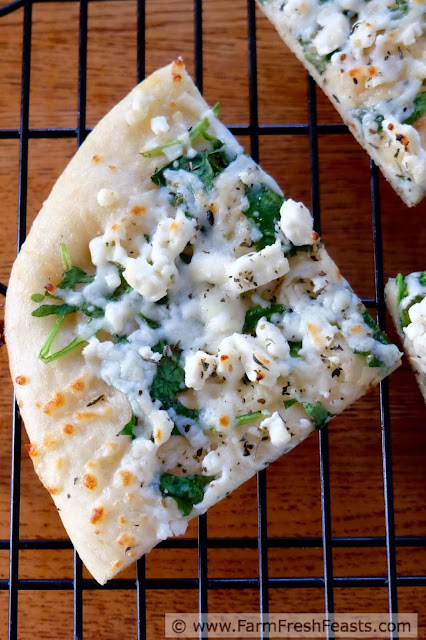 image of a slice of white spinach pizza on a rack