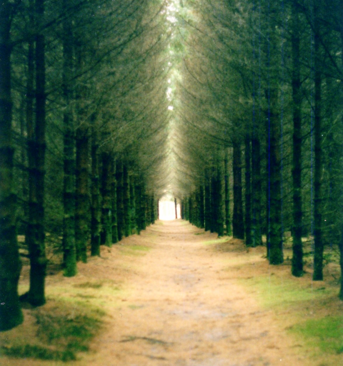 Path file инструмент. дорога вверх. Tool for delete file. Long path. Bt the longest paths.