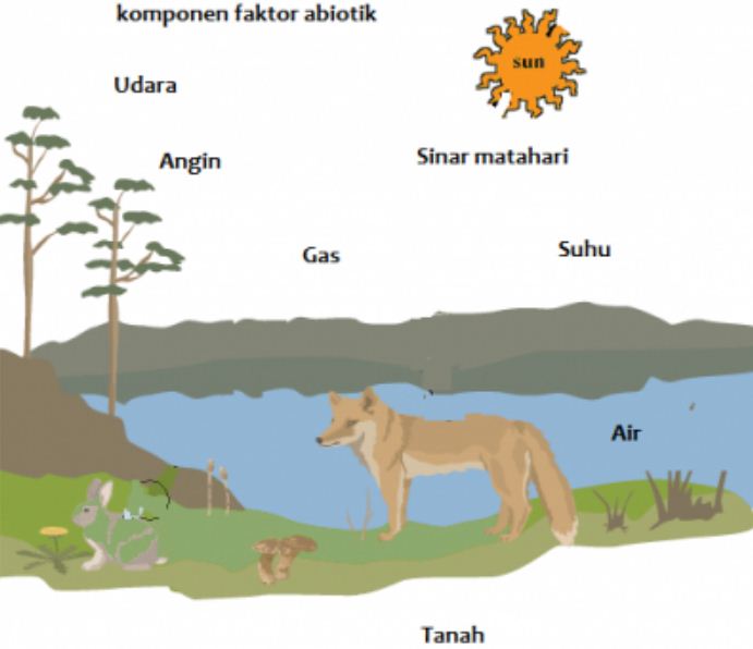 Dibawah Ini Yang Bukan Merupakan Komponen Abiotik Adalah Blog Pak Pandani