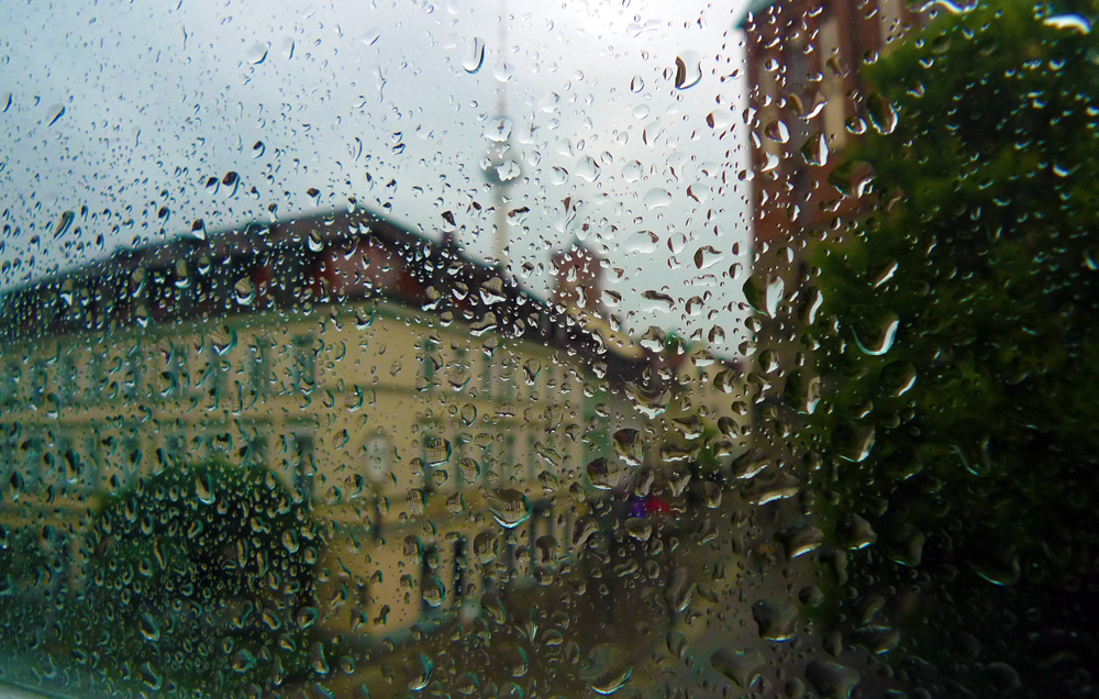 Zu Besuch In Portugal Eine Eselwanderung An Der Algarve Alles