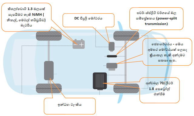 fig-1.png
