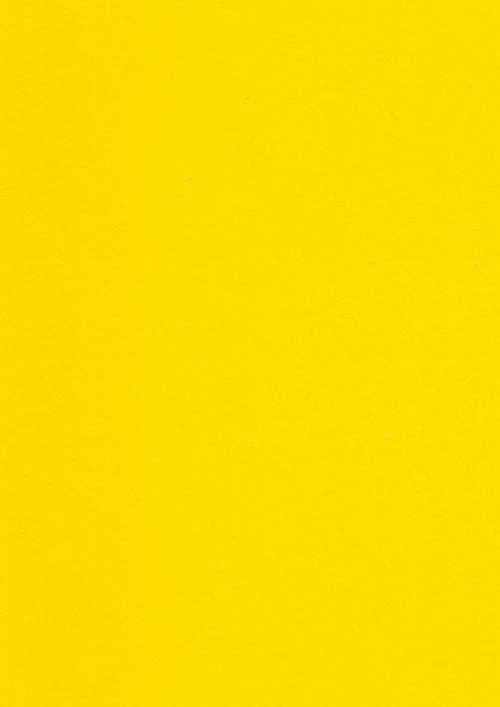 Breathtaking Yellow Squash Picture Nature