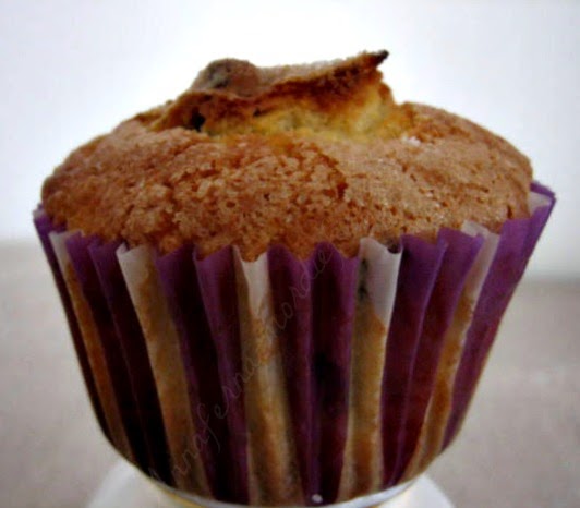 muffin al mirtillo ( blueberry muffins)