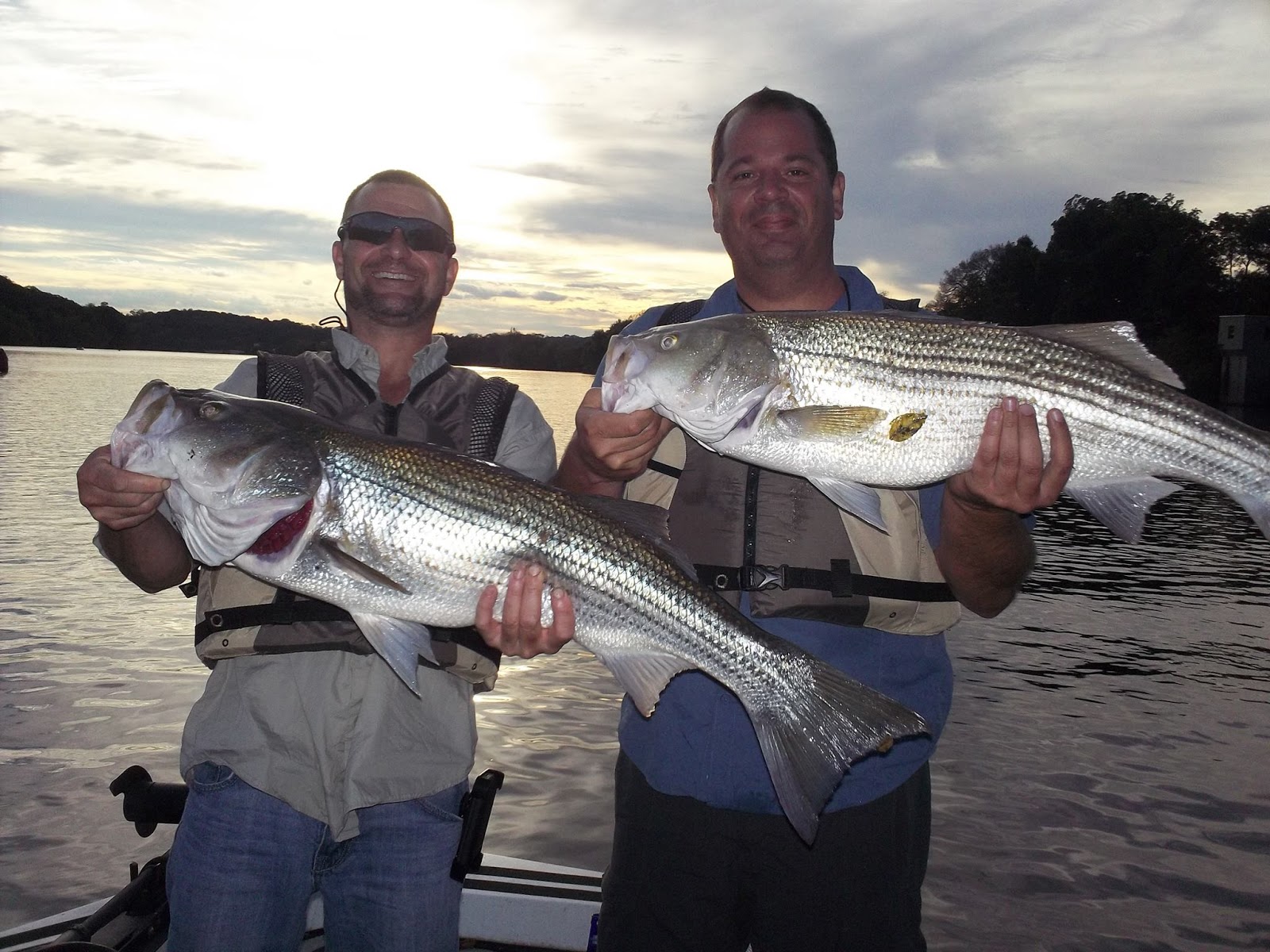 Fish On! Guided Tours. Knoxville, Tn Knoxville Tennessee's Premier Striper Fishing Guide Service