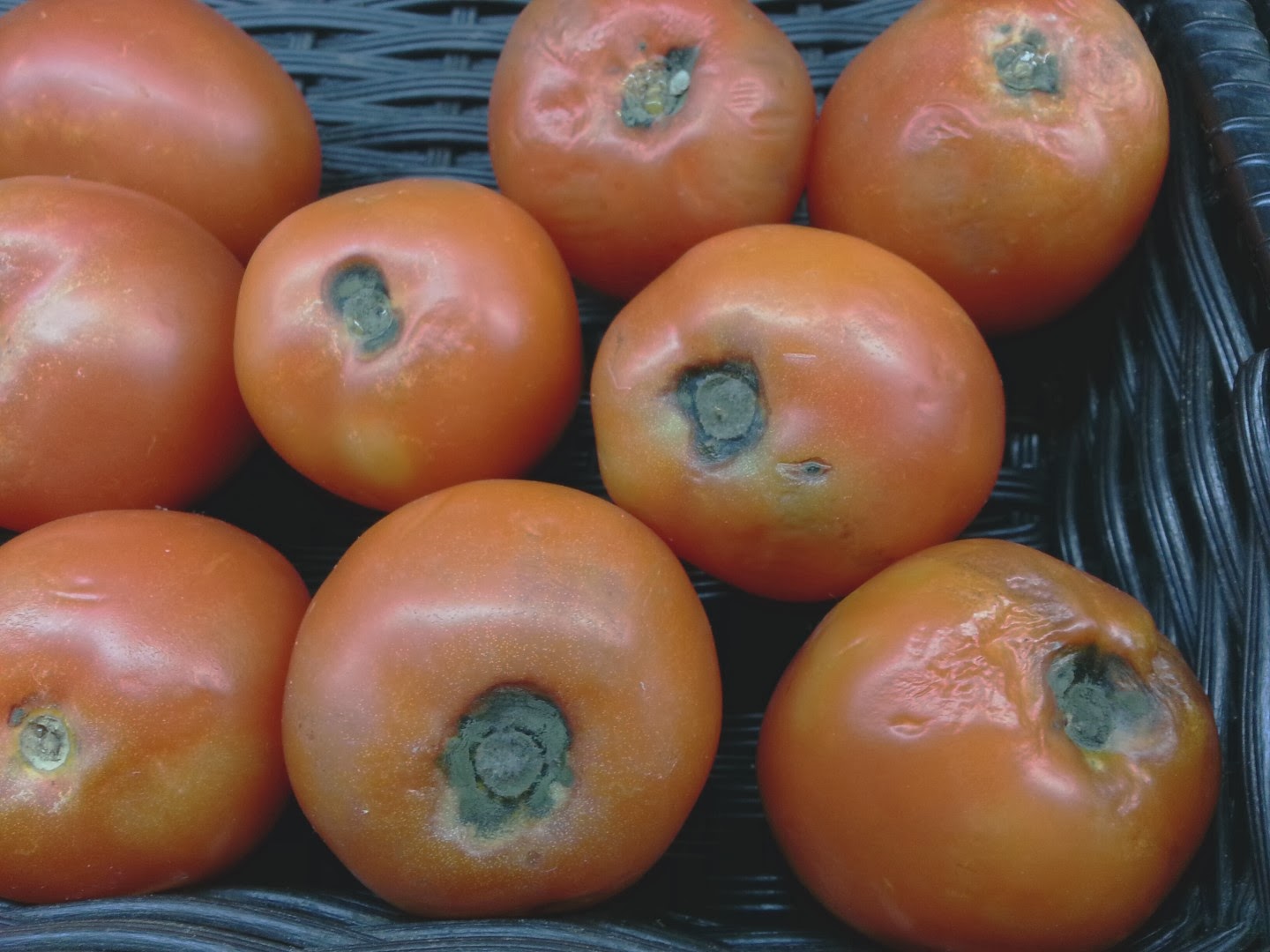 Rotting Of Fruits And Vegetables