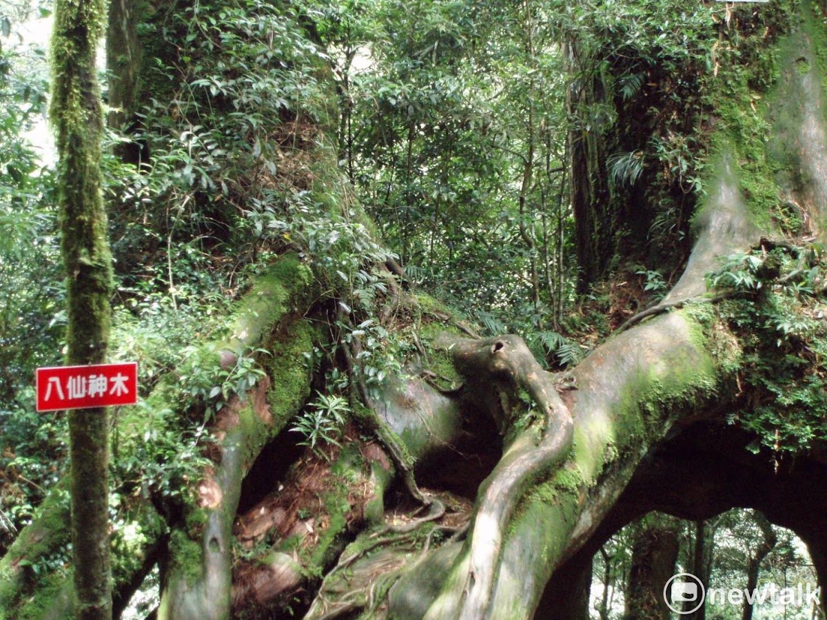 桃園市復興區「小烏來風景區」的「神木群」，是離雙北最近的「神木群」，只要2-3小時的時間就能親近。就在桃園市復興區「小烏來風景區」，「赫威神木」樹如其名，高大直挺威猛的紅檜巨木。