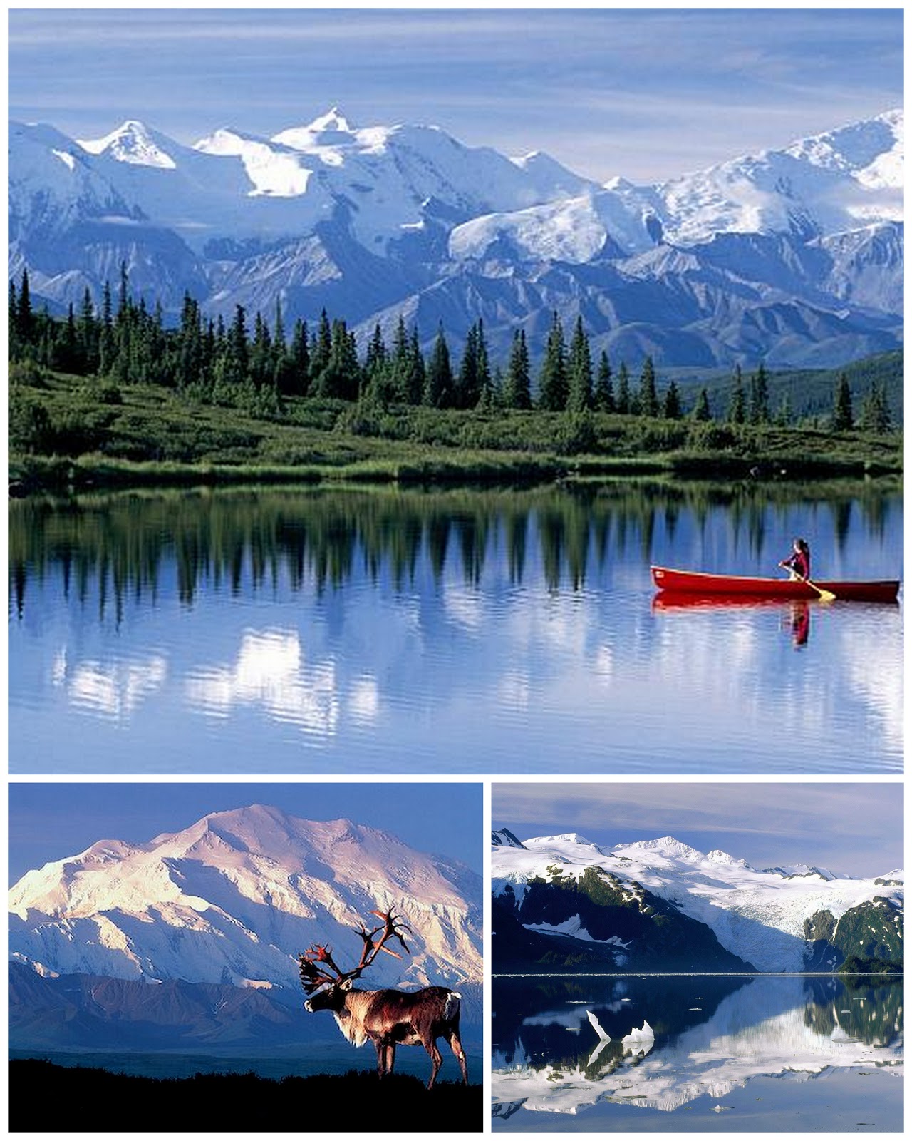 Штат Аляска краткое описание. Символ штата Аляска. 5 Маленьких фактов про Аляску. Проект Willow Аляска.