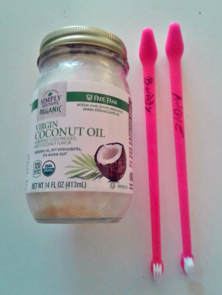 Those Eskies Blog Living with American Eskimo Dogs Cleaning My